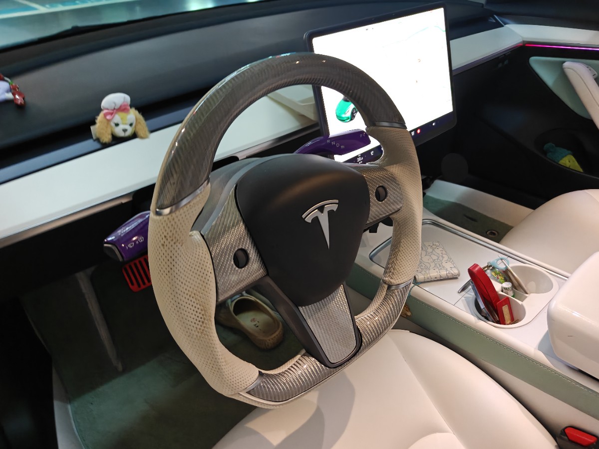 Tesla Model 3 2021 car image #7