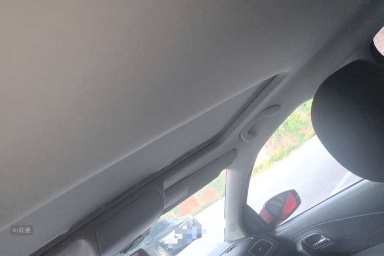 Volkswagen Polo 2016 car image #20