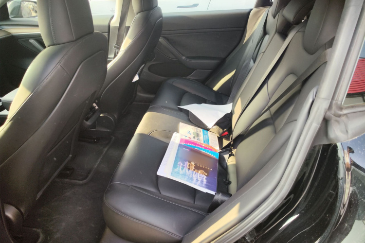 Tesla Model 3 2021 immagine di auto #17
