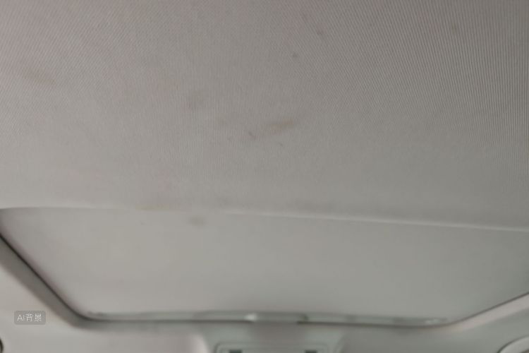 Volkswagen Bora 2020 car image #20