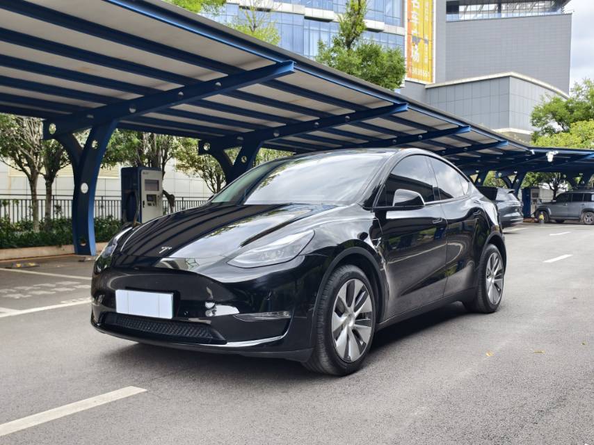 Tesla Model Y 2022 Tesla Model Y 2022 car image