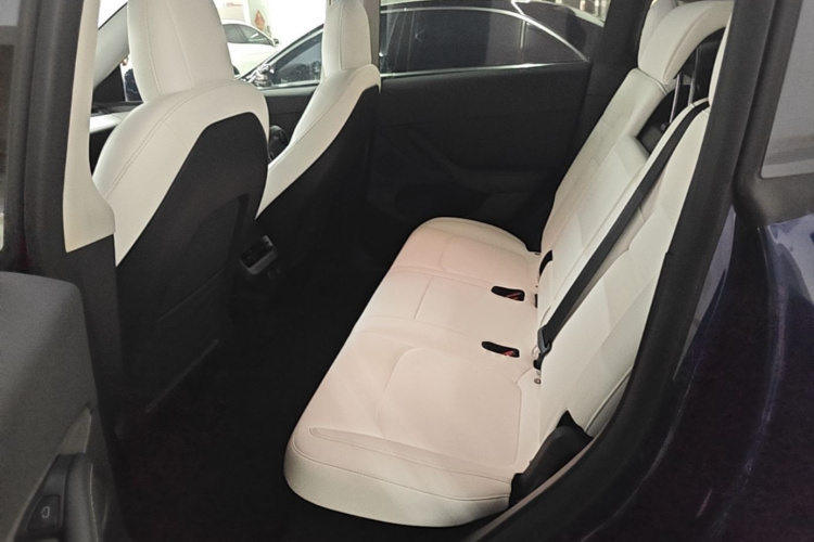 Tesla Model Y 2021 #17 Tesla Model Y 2021 car image #17