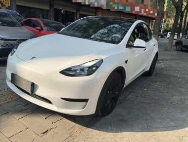 Tesla Model Y 2022 Tesla Model Y 2022 car image