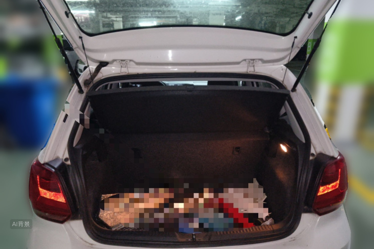 Volkswagen Polo 2015 car image #21