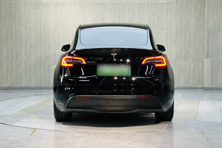 Tesla Model Y 2021 #4 Tesla Model Y 2021 صورة سيارة #4
