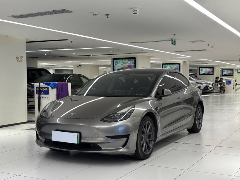 Tesla Model 3 2022 Tesla Model 3 2022 car image