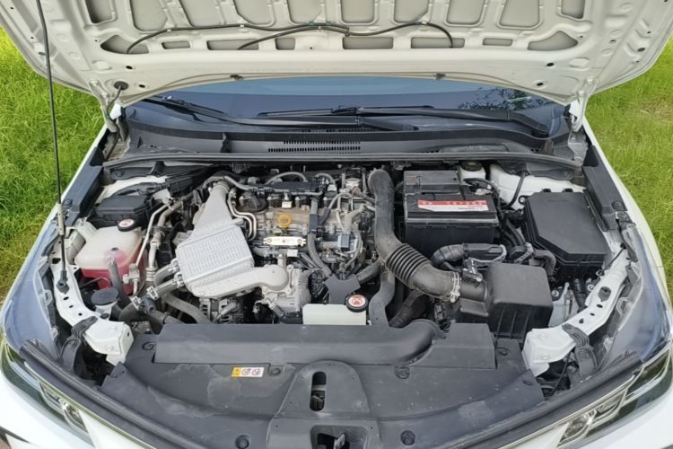 Toyota Corolla 2023 #20 Toyota Corolla 2023 car image #20