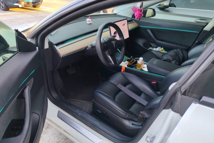 Tesla Model 3 2020 #13 Tesla Model 3 2020 car image #13