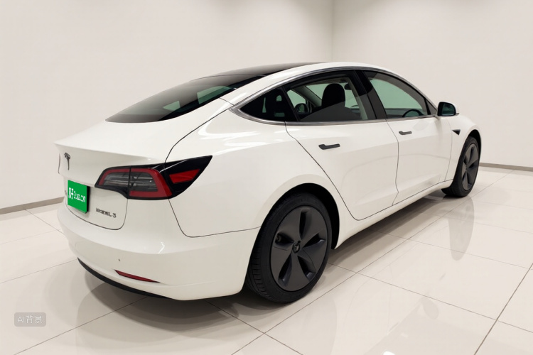 Tesla Model 3 2020 car image #7