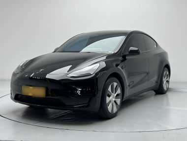 Tesla Model Y 2023 Tesla Model Y 2023 car image
