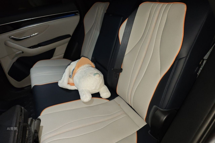 BYD Song Plus New Energy 2023 image de voiture #19