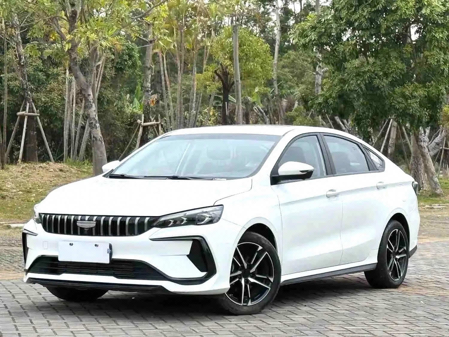 GEELY Binray 2025 GEELY Binray 2025 car image