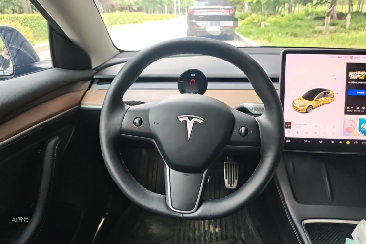 Tesla Model 3 2021 #12 Tesla Model 3 2021 car image #12
