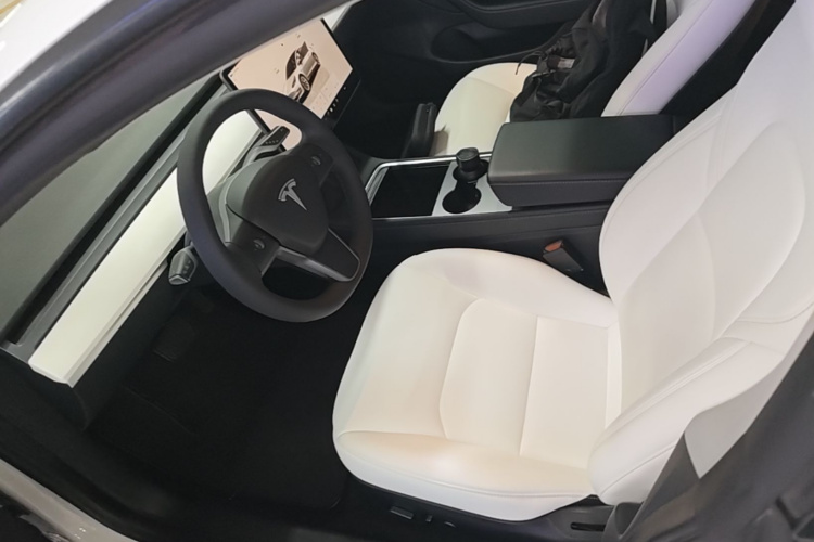 Tesla Model 3 2022 car image #15