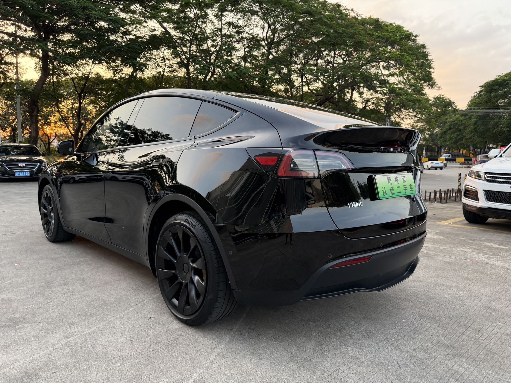 Tesla Model Y 2023 #5 Tesla Model Y 2023 car image #5