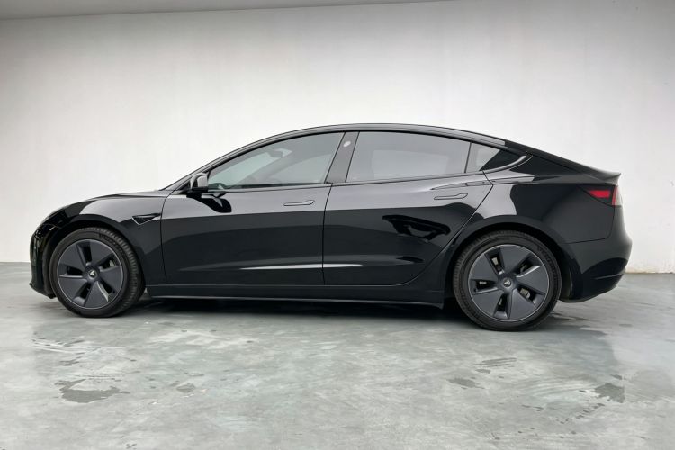 Tesla Model 3 2021 car image #13