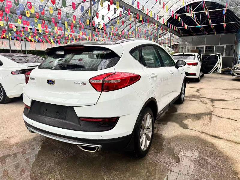 GEELY Emgrand GS 2017 car image #6