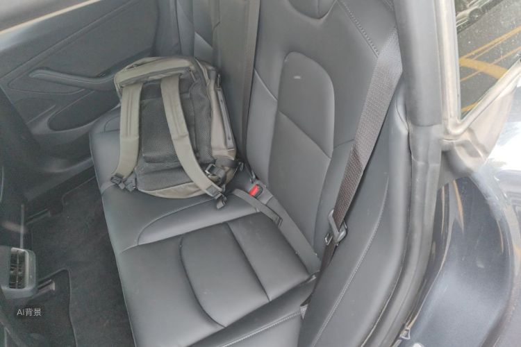 Tesla Model 3 2020 car image #19