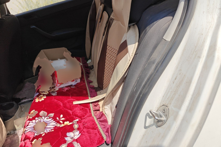 Volkswagen Santana 2016 immagine di auto #19