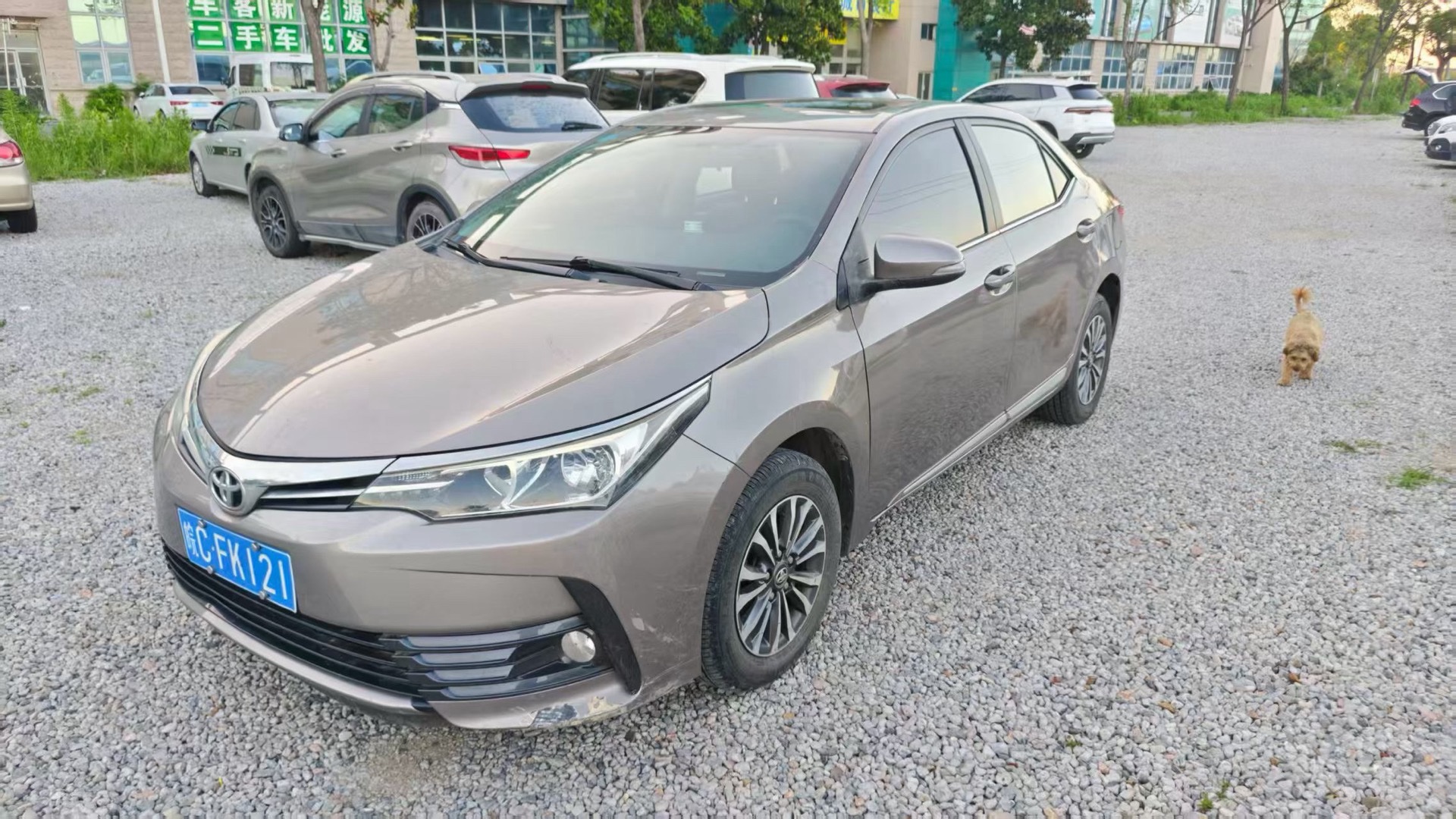 Toyota Corolla 2019 Toyota Corolla 2019 car image