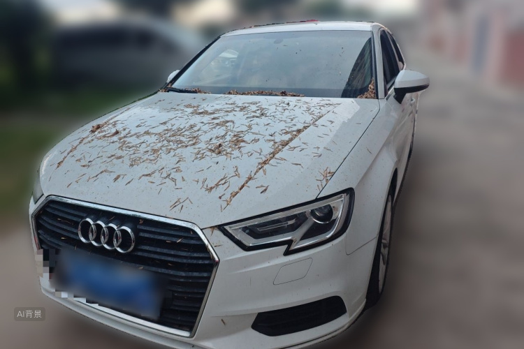 Audi A3 2017 car image #2