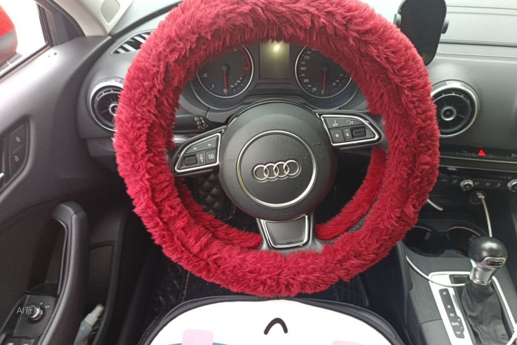 Audi A3 2014 car image #12