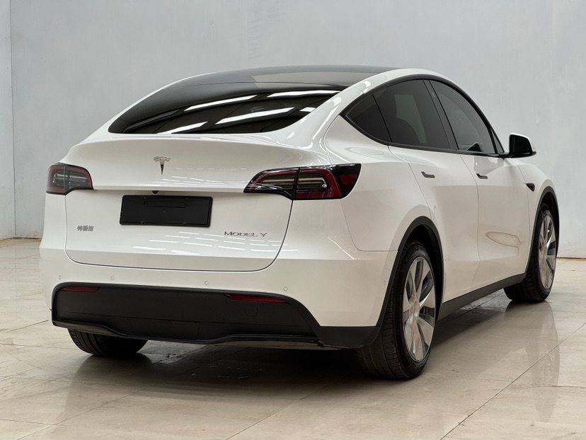 Tesla Model Y 2021 #3 Tesla Model Y 2021 car image #3