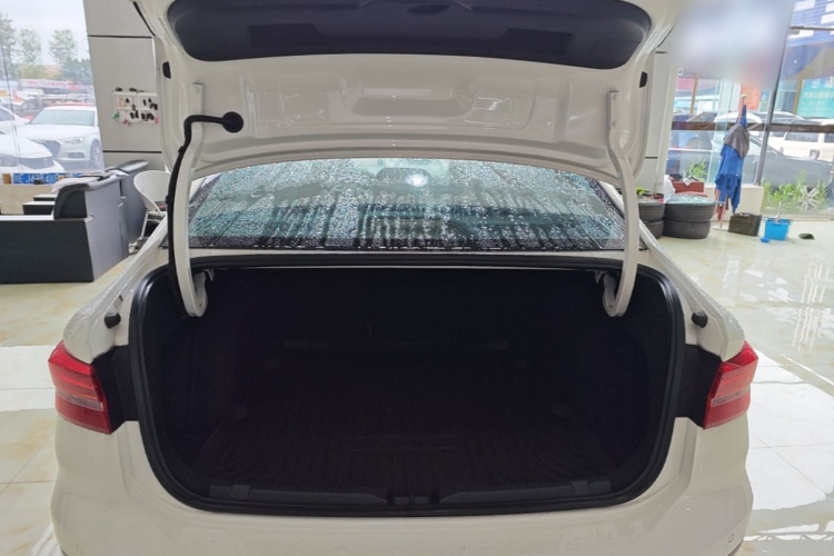 Volkswagen Lavida 2020 car image #19