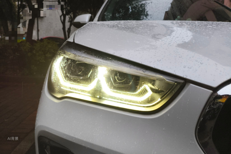 BMW X1 2019 imagem de carro #8