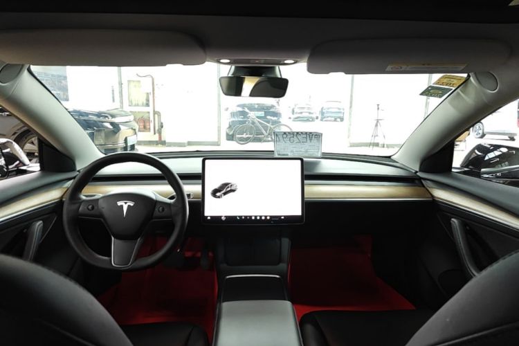 Tesla Model 3 2021 #18 Tesla Model 3 2021 car image #18