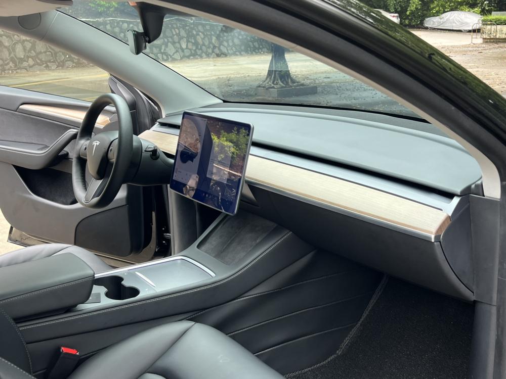 Tesla Model Y 2022 car image #12