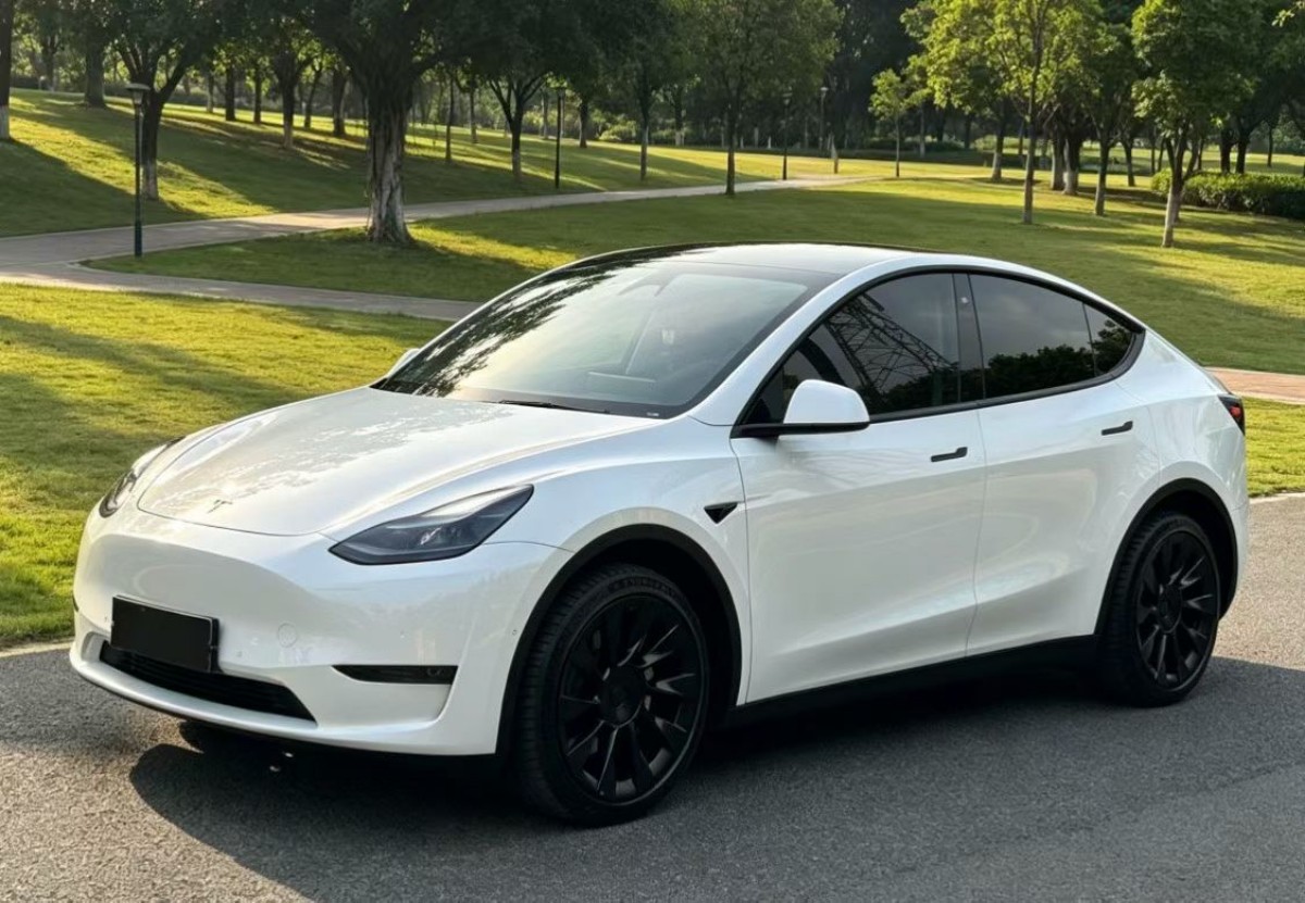 Tesla Model Y 2021 car image 