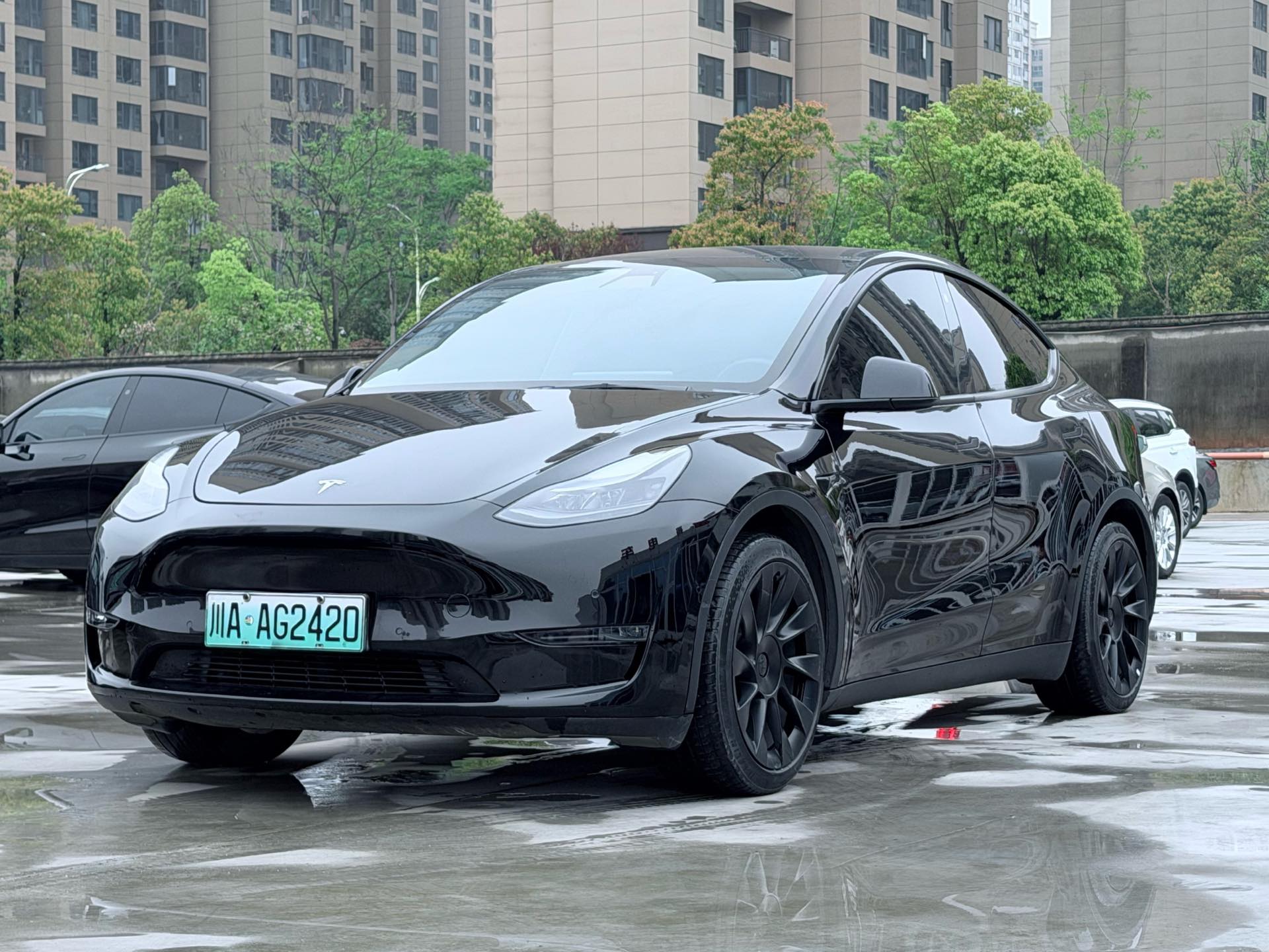 Tesla Model Y 2021 car image 