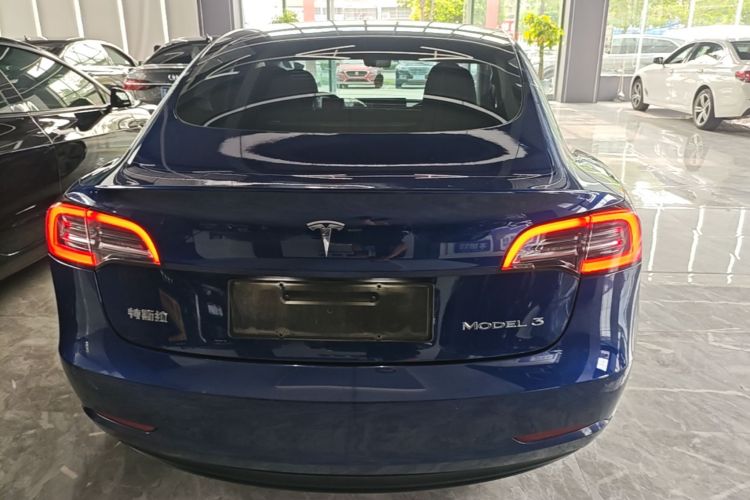 Tesla Model 3 2021 #6 Tesla Model 3 2021 car image #6