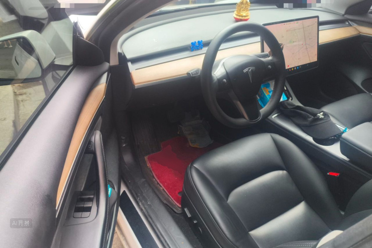 Tesla Model 3 2021 immagine di auto #18