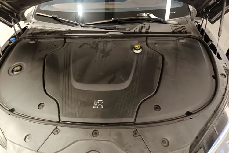 BYD Han 2024 car image #20