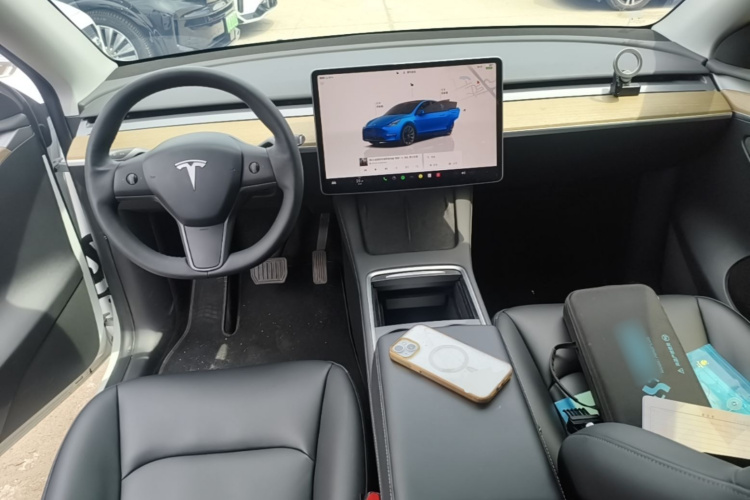 Tesla Model Y 2023 car image #10