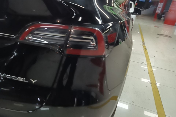 Tesla Model Y 2023 #8 Tesla Model Y 2023 car image #8