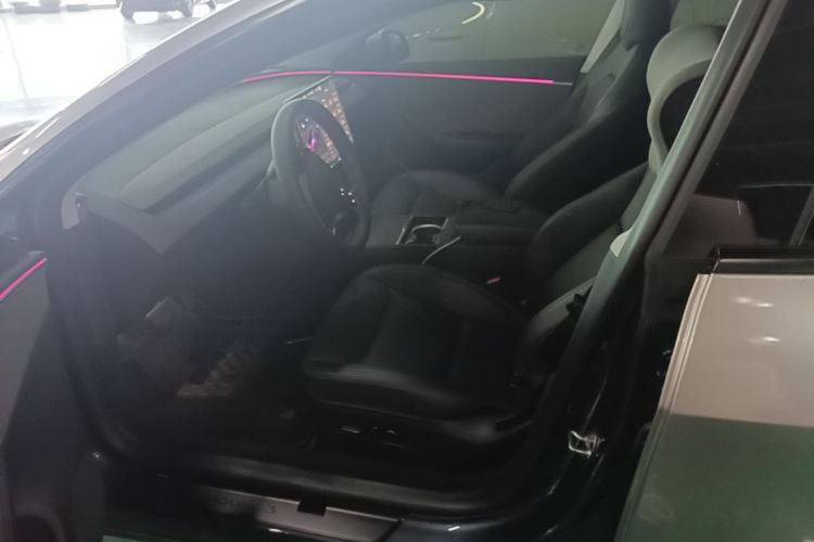 Tesla Model 3 2024 #18 Tesla Model 3 2024 car image #18