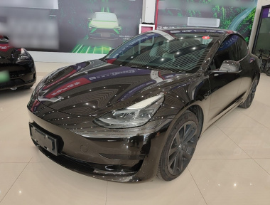 Tesla Model 3 2023 Tesla Model 3 2023 car image