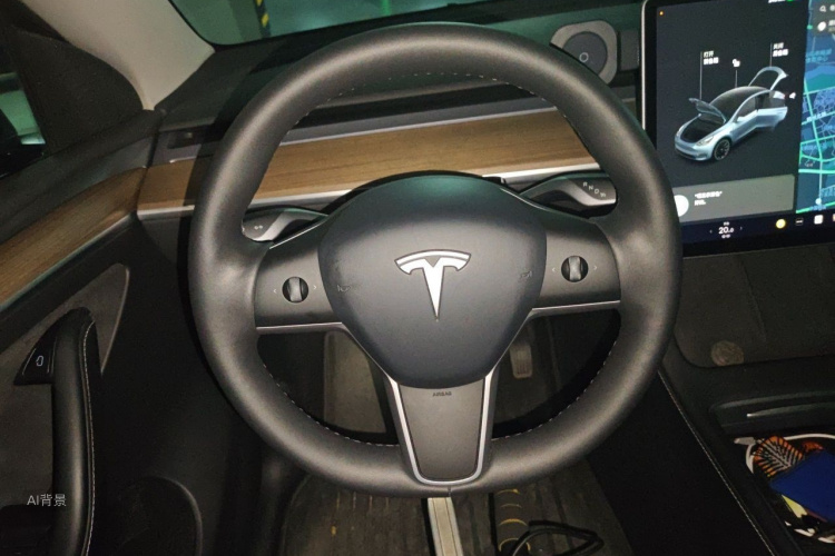 Tesla Model Y 2021 car image #12