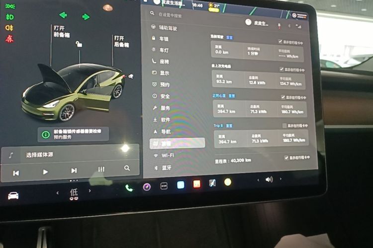 Tesla Model 3 2021 car image #12