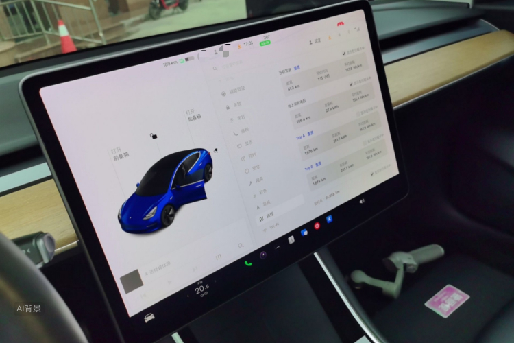 Tesla Model 3 2020 car image #15