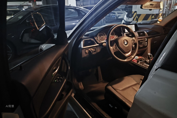 BMW 3 Series 2016 car image #18