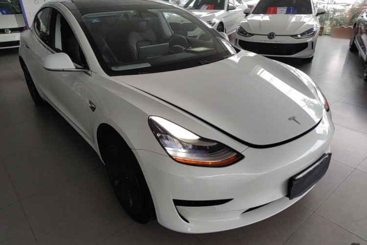 Tesla Model 3 2020 car image #4