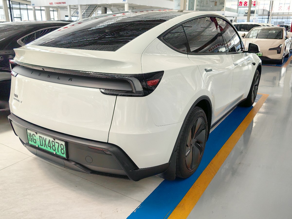 Tesla Model Y 2025 car image #5