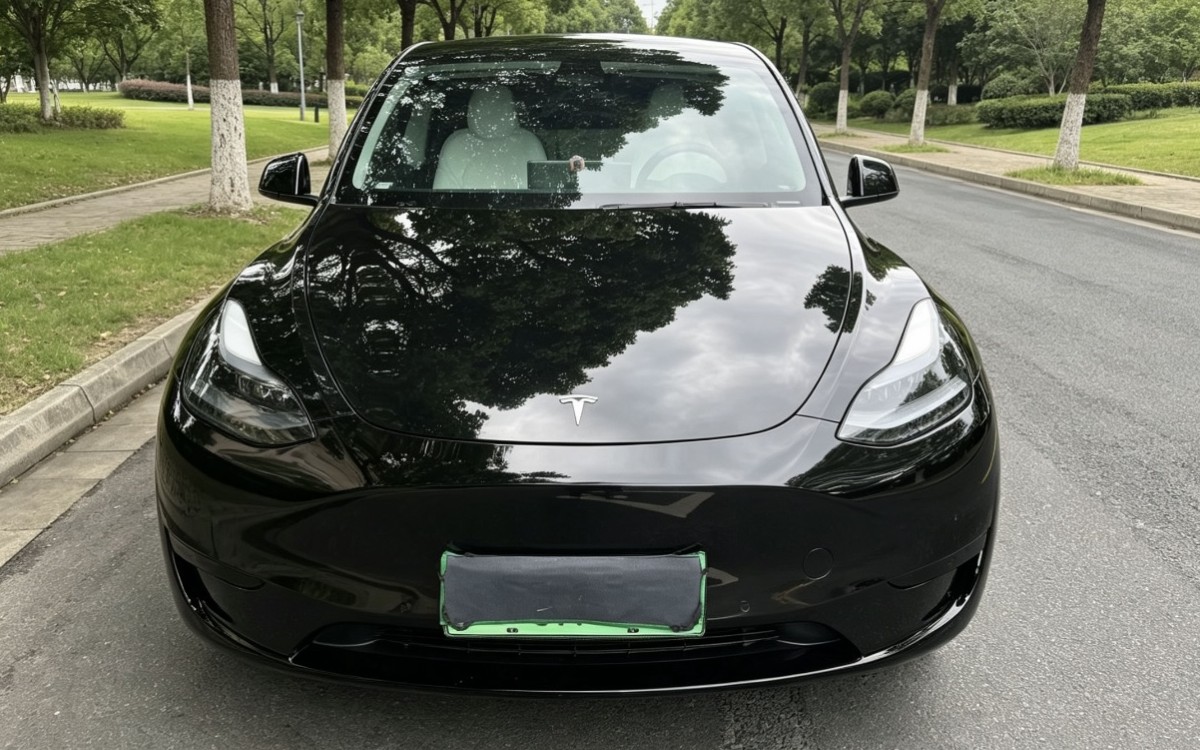 Tesla Model Y 2023 #2 Tesla Model Y 2023 car image #2