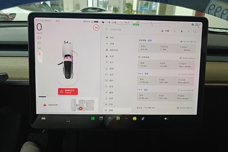 Tesla Model Y 2021 #12 Tesla Model Y 2021 immagine di auto #12