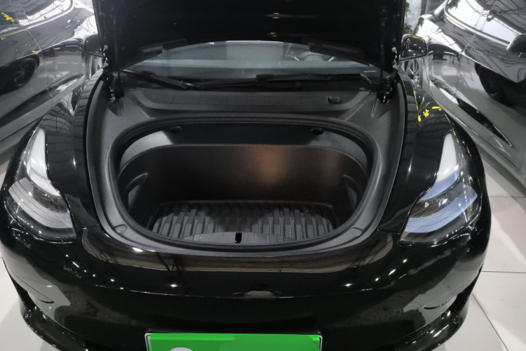 Tesla Model 3 2021 car image #20