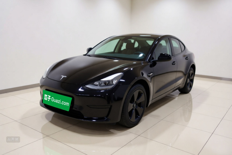 Tesla Model 3 2023 #2 Tesla Model 3 2023 car image #2